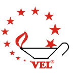 Vital Extra Learning and Consultancy